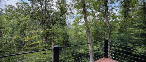 A wooden deck with a metal railing overlooking a forested area.