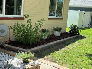 Ein Wohngarten mit verschiedenen Pflanzen und einem Gartenschlauch.