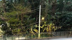 Ein rechteckiger Pool mit einer gefliesten Kante, umgeben von einem schwarzen Metallgeländer.