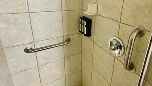 Eine Duschkabine mit Handläufer, einer Handbrause und einem Seifenspender.