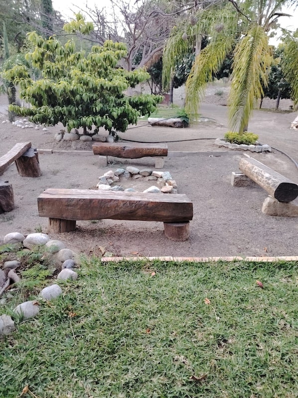A garden with benches, a small pond, and various trees.