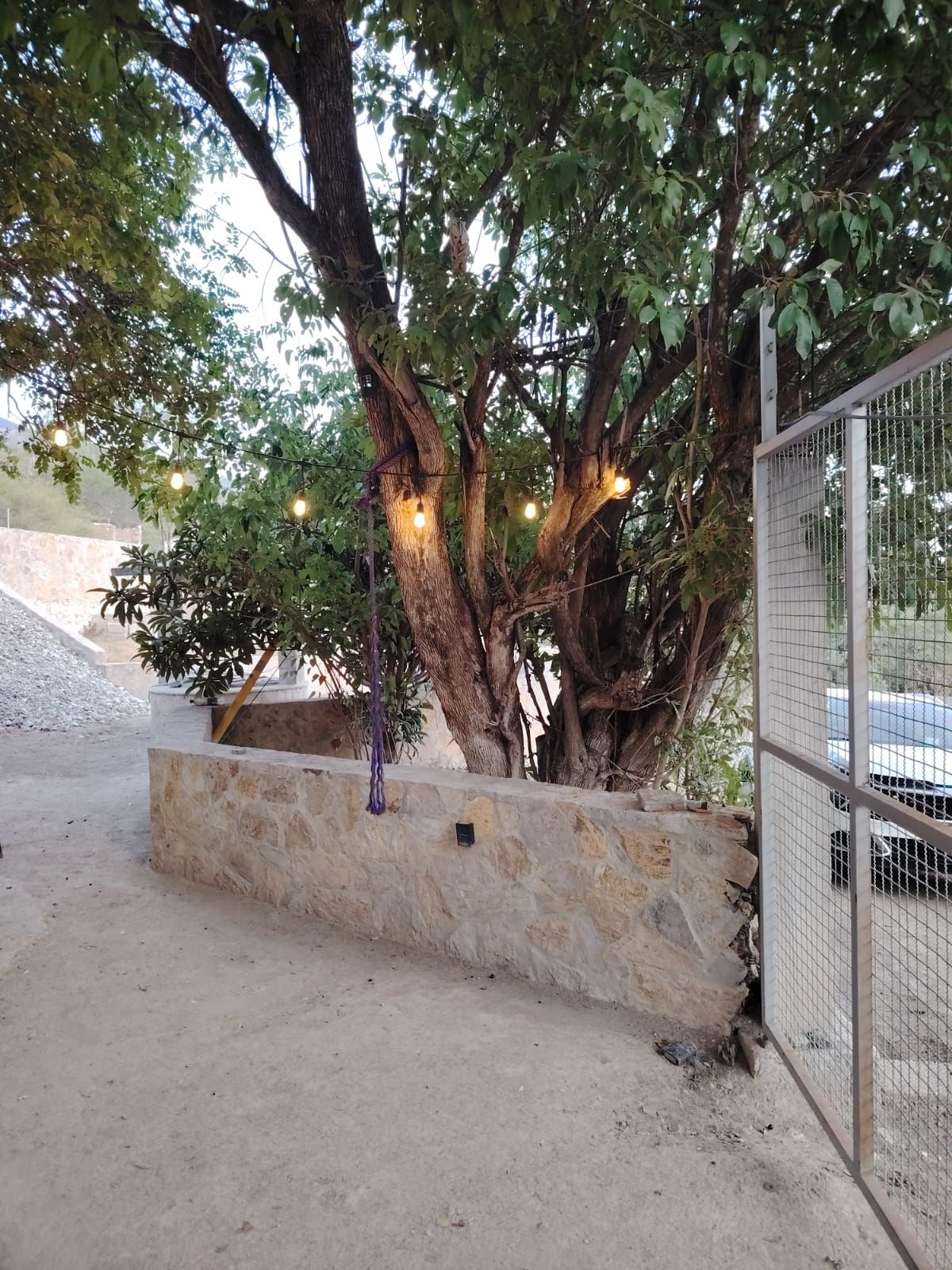 Uma árvore com luzes, um muro de pedra e uma cerca de metal.
