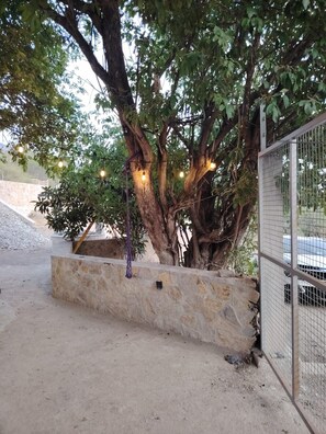 A tree with lights, a stone wall, and a metal fence.