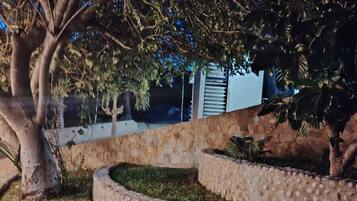Un giardino curato con un vialetto in pietra a forma di curva, un albero e un basso muro.