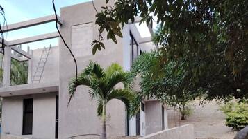 Un edificio moderno con facciata in cemento, una palma e terreno sterrato.