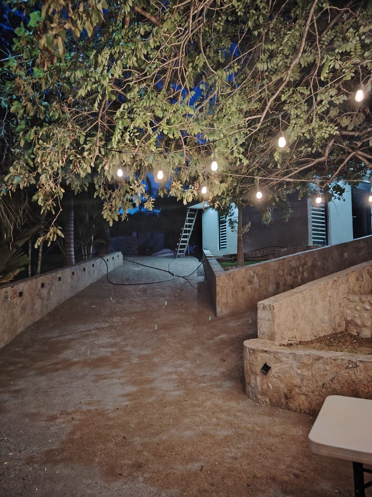 An outdoor area with a dirt ground, a concrete bench, and a ladder leading to a building.