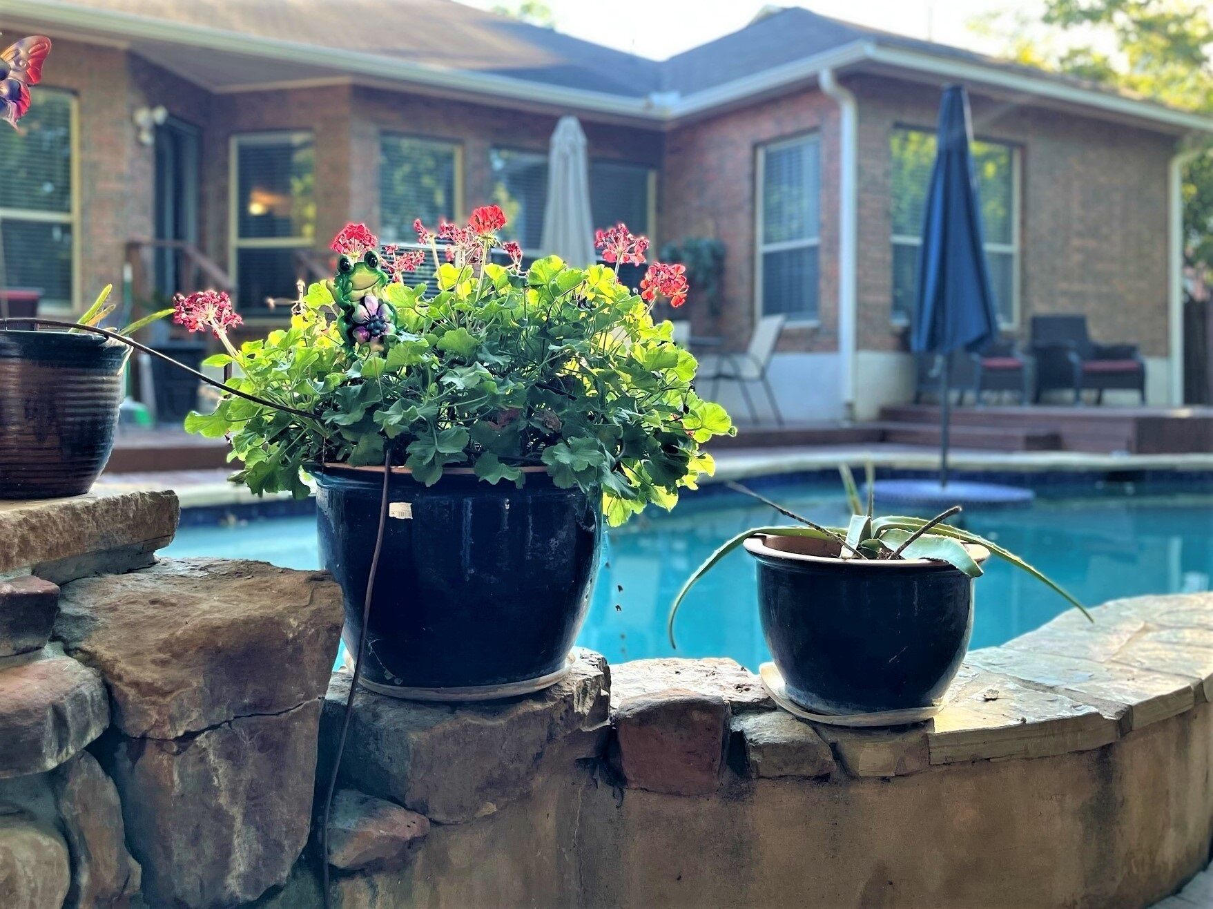 A poolside area with potted plants and a patio.