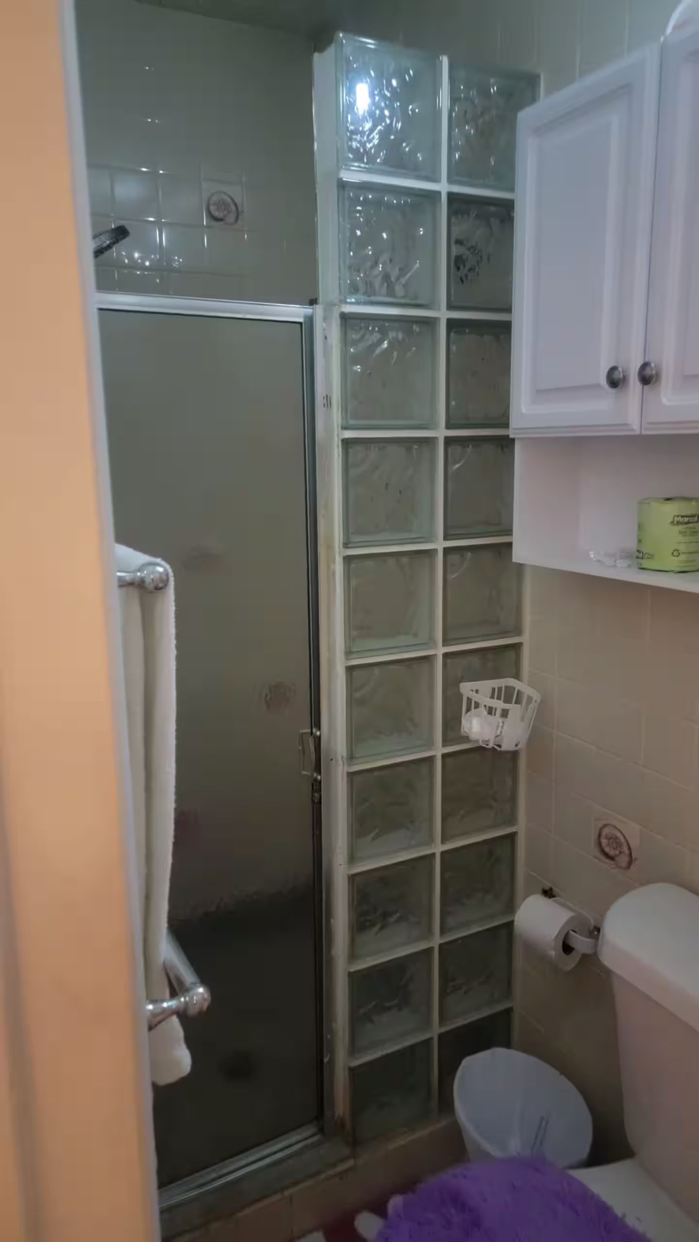 A bathroom with a glass shower enclosure, a toilet, and a cabinet with a toilet paper holder.