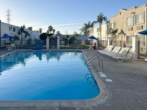 Ein Schwimmbecken mit Liegestühlen und Sonnenschirmen, umgeben von einem Zaun und Palmen.