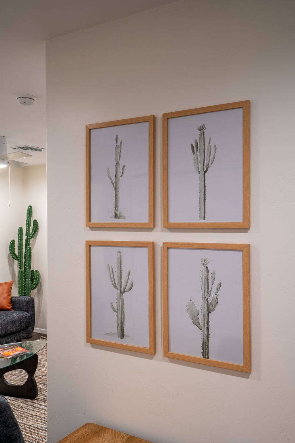 A wall with four framed cactus paintings.