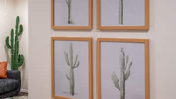 A wall with four framed cactus paintings.