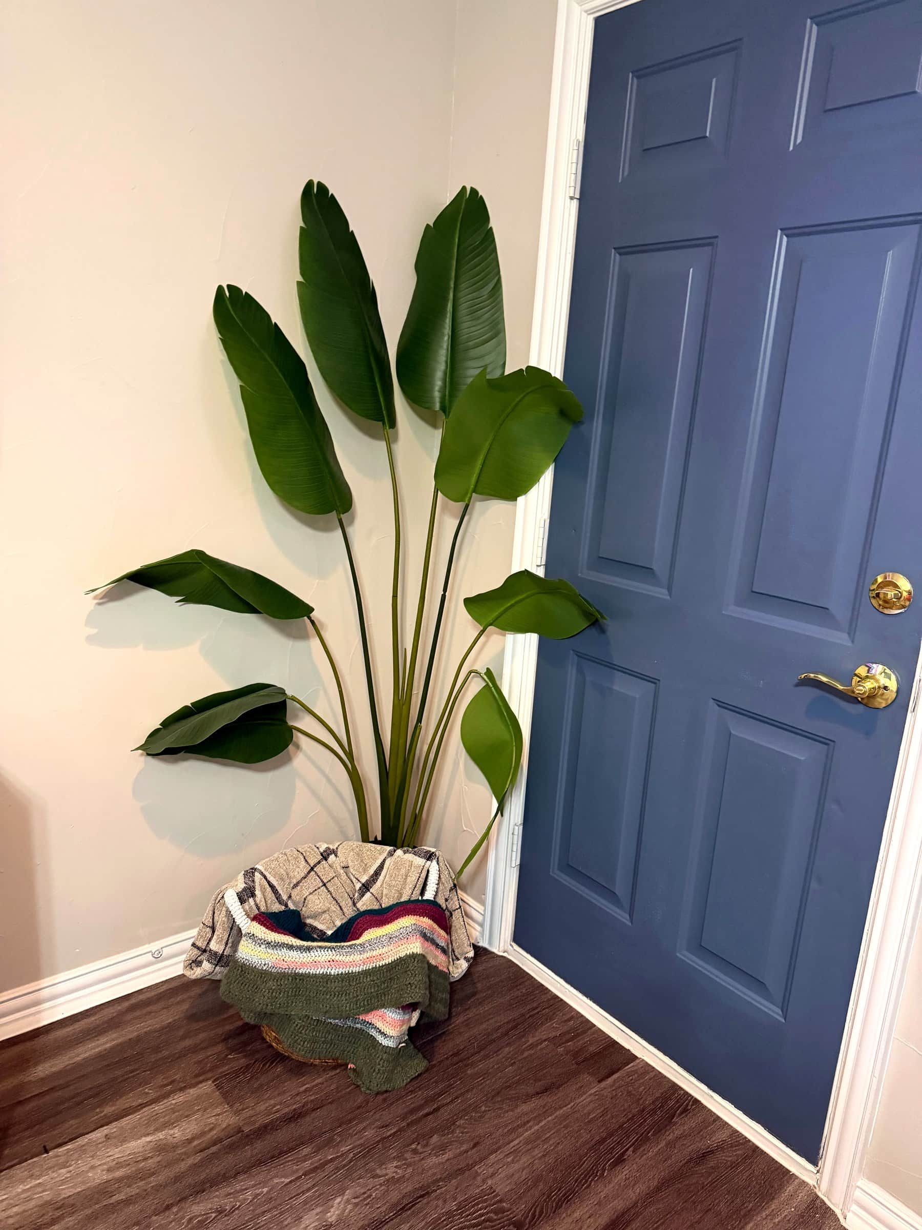 A blue door with a golden handle, a potted plant with large green leaves, and a colorful knitted bag on the floor.