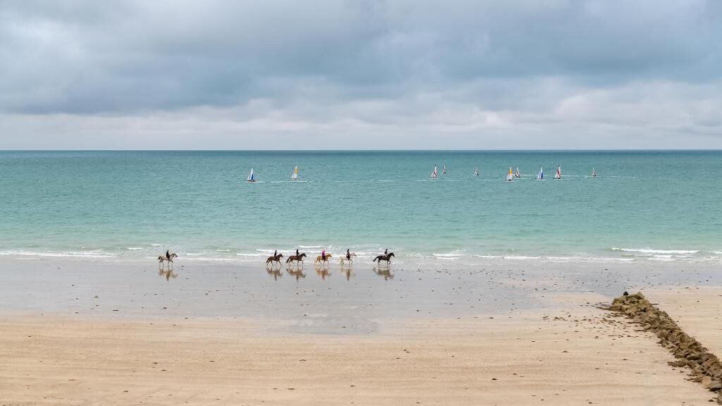 Una playa con caballos y veleros.