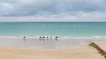 Una playa con caballos y veleros.