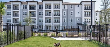 A multi-story residential building with a fenced courtyard, a dog, and a bench.