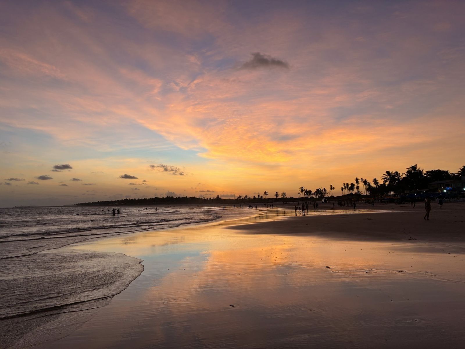 Uma praia com mar calmo, céu claro e silhuetas de palmeiras.