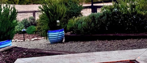 Un brasero con leña encendida, rodeado de plantas en macetas y una valla de madera.