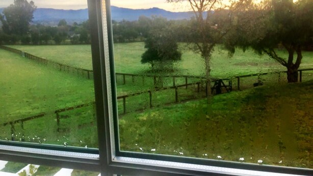 Vista a través de una ventana: cielo despejado, campo cubierto de hierba, un árbol y una cerca.