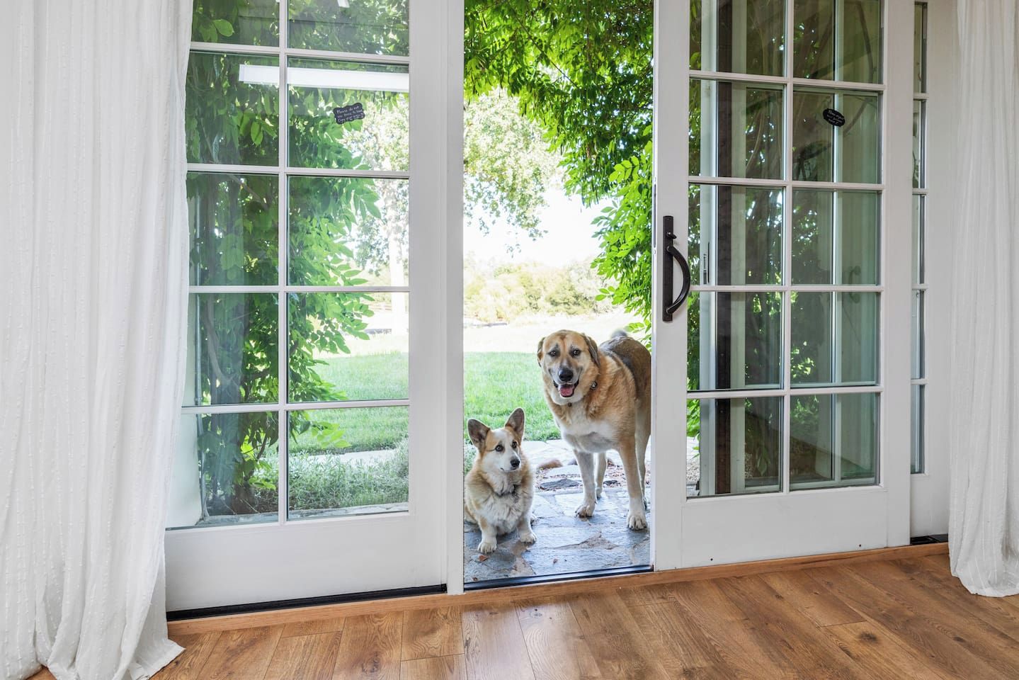 A room with a wooden floor, a sliding glass door leading to a garden, and a dog standing by the door.