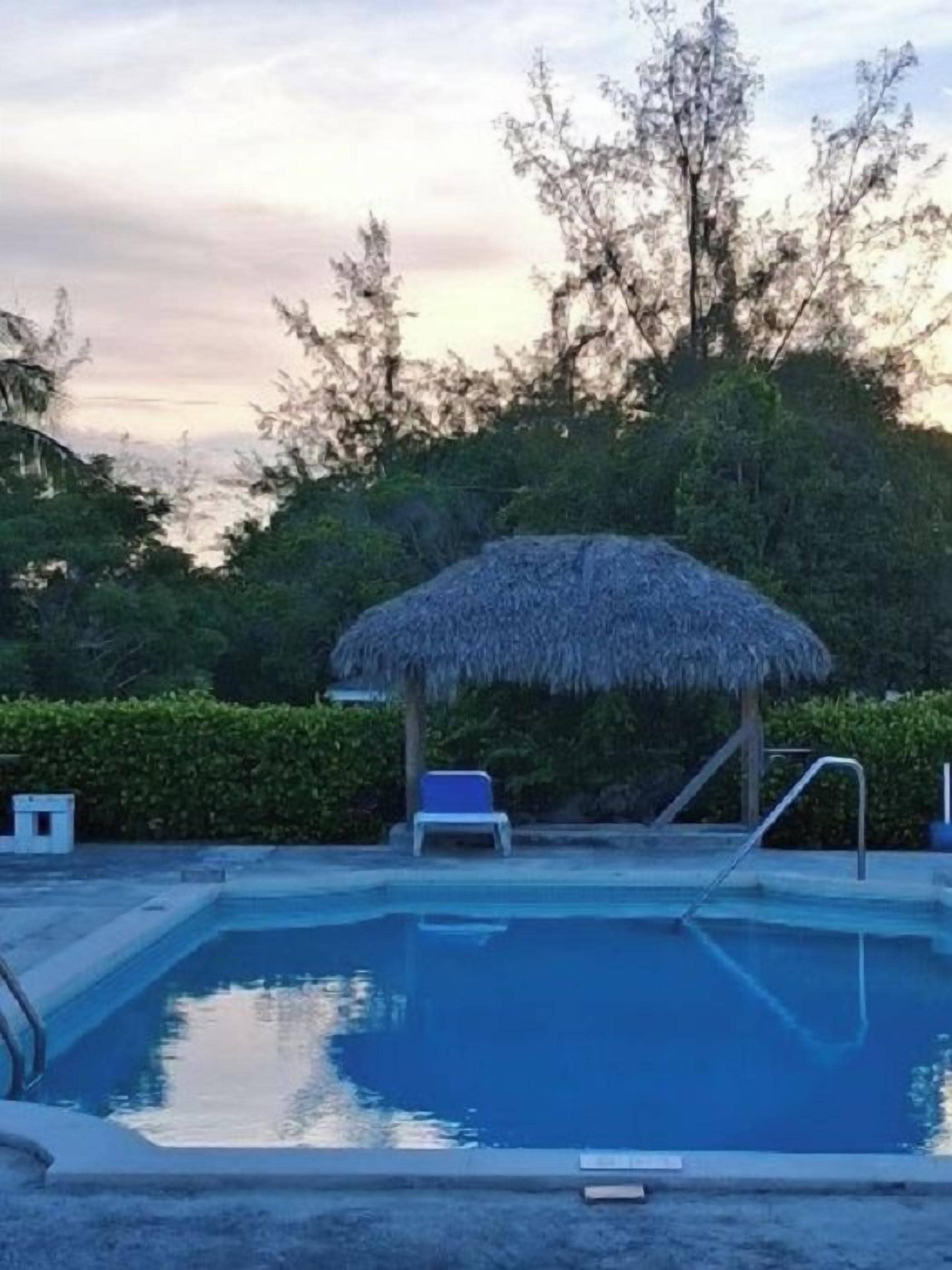 A swimming pool with a thatched roof structure, surrounded by greenery and a hedge.