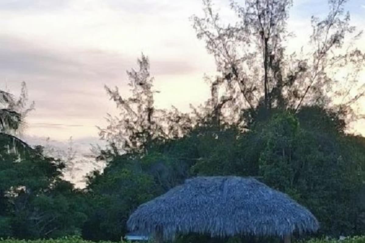 A swimming pool with a thatched roof structure, surrounded by greenery and a hedge.