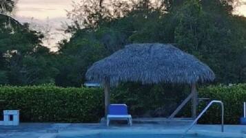 A swimming pool with a thatched roof structure, surrounded by greenery and a hedge.