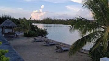 A beach with a thatched-roof structure, lounge chairs, and a palm tree.