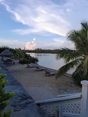 A beach with a thatched-roof structure, lounge chairs, and a palm tree.