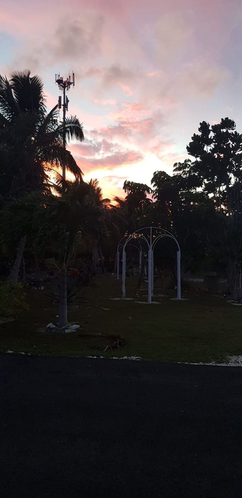A park with a gazebo, palm trees, and a communication tower.