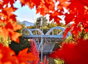 Un pont à l’architecture unique, caractérisé par son arc particulier, entouré d’arbres et avec une montagne en toile de fond.