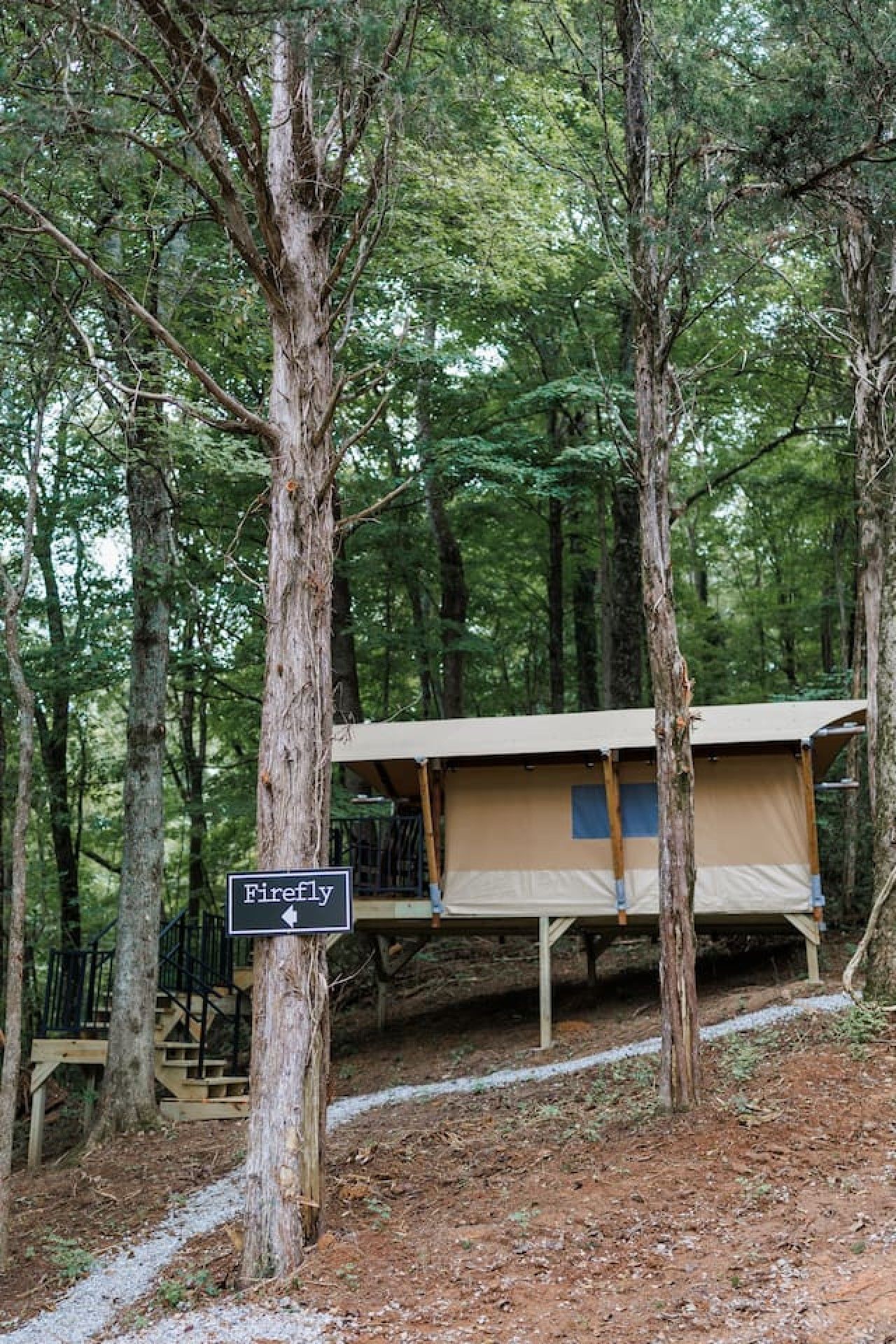 Une zone boisée où se trouve une structure en forme de tente, portant l'inscription « Firefly », et un escalier menant à cette structure.