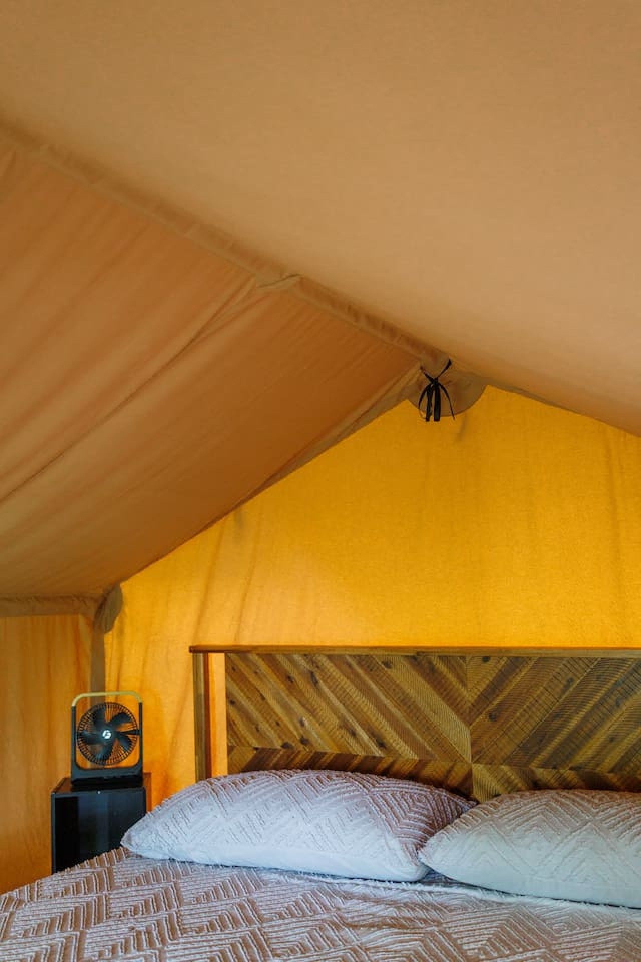 Une pièce aménagée avec une tente, un lit, un ventilateur et une tête de lit en bois.