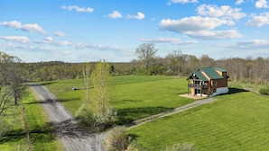 A rural house with a green roof, surrounded by a grassy field and trees. - Perched Above Cayuga ·  Sauna · Winery On-Site (Romulus)