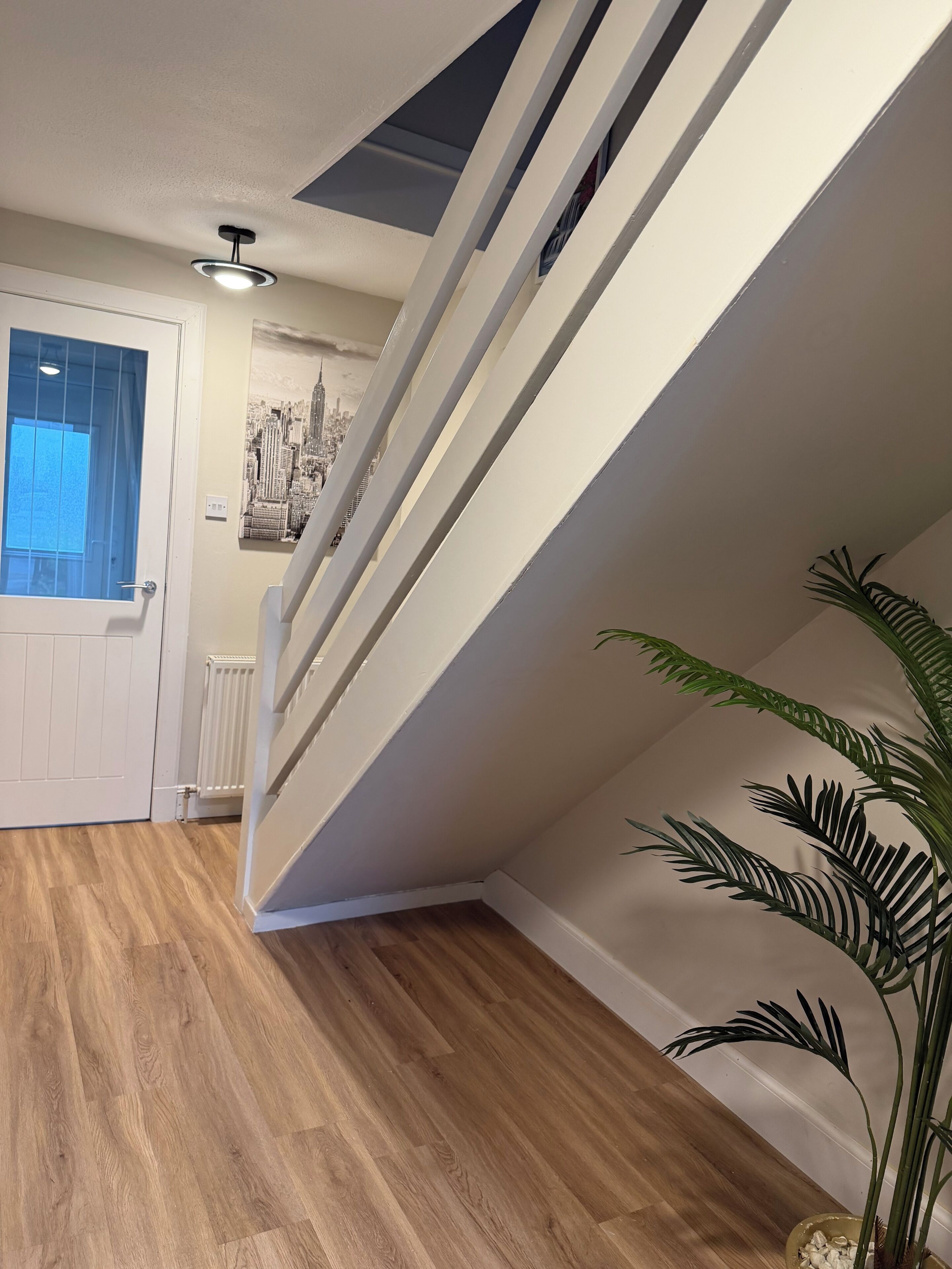 Eine Treppe mit weißer Geländer, eine Tür mit Fenster und ein Heizkörper an der Wand.