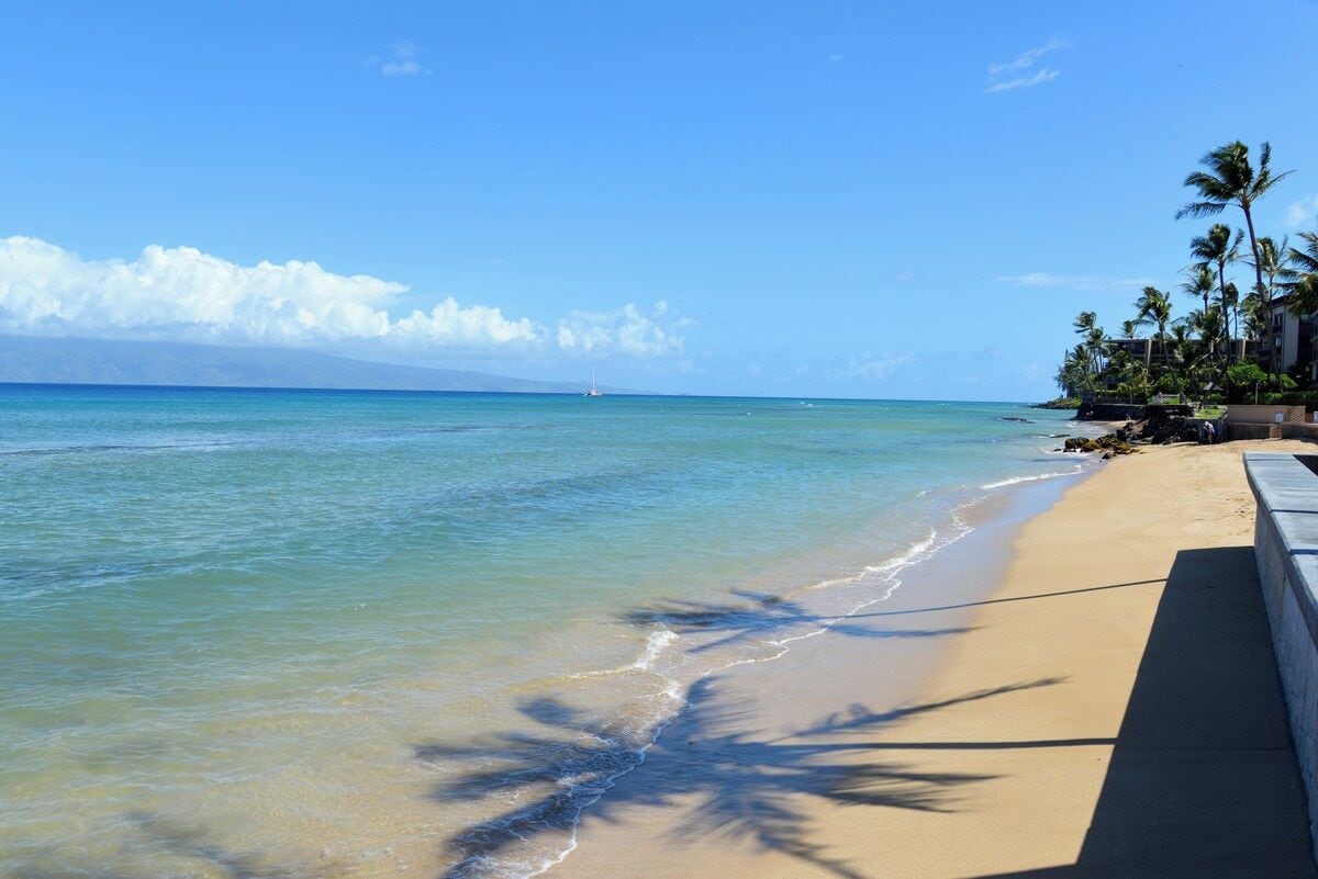 A beach with clear water, a sandy shore, and palm trees.