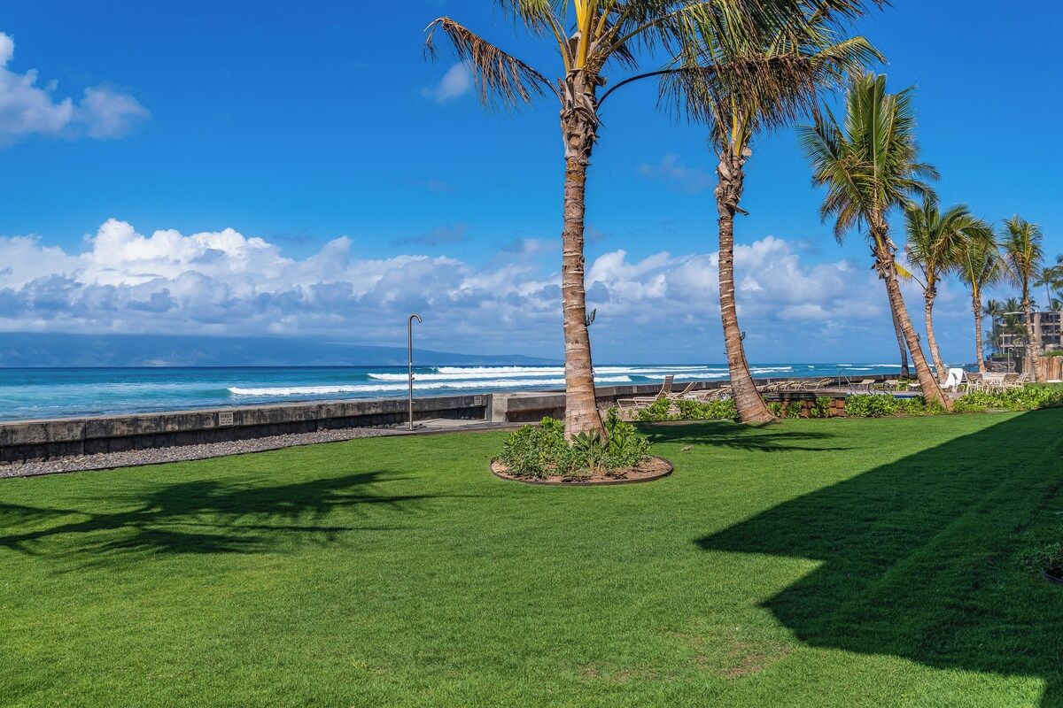 A coastal view with palm trees, a grassy area, and a view of the ocean.