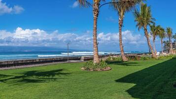 A coastal view with palm trees, a grassy area, and a view of the ocean.