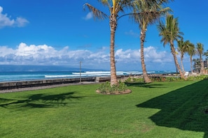 Vista costeira com palmeiras, área gramada e mar.