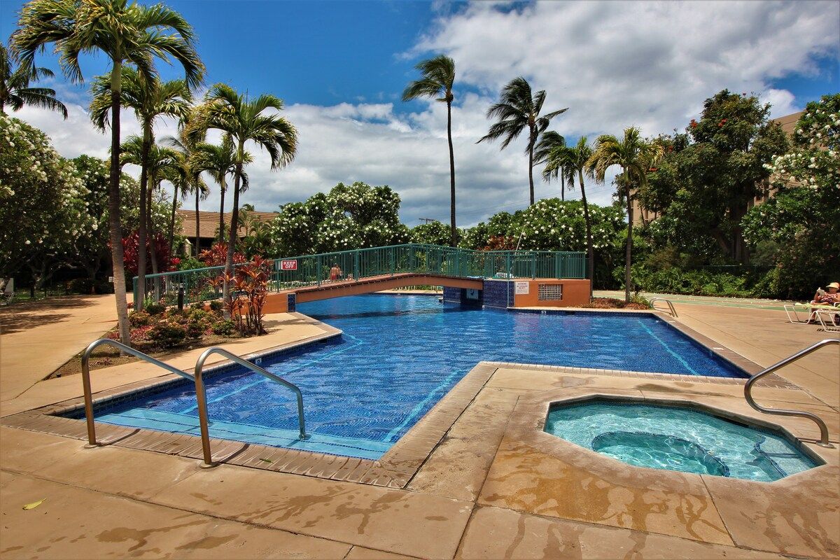 A swimming pool with a bridge, surrounded by palm trees and a clear sky.