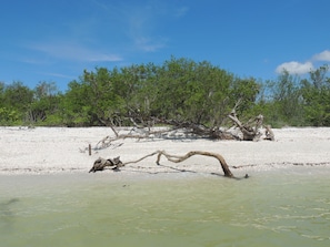 A natural landscape with a sandy beach, a fallen tree, and dense green foliage in the background. - Serene Waterfront Bliss – Private Pool Home Near Beach Access, Sleeps 8 (Marco Island)