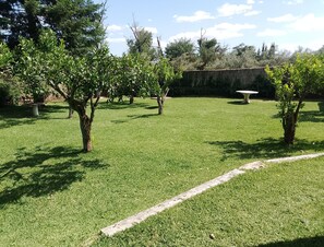 A well-maintained grassy area with trees and a stone wall. - Casa Rural La Flor del Naranjo (Cadalso)