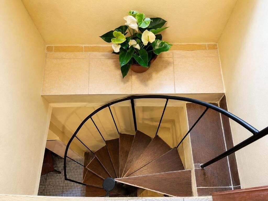 Un escalier en colimaçon avec une rampe et un pot de fleurs placé au-dessus.