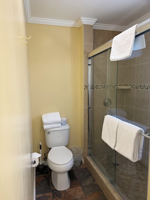 Un baño con inodoro, ducha envuelta en vidrio y barra para toallas.