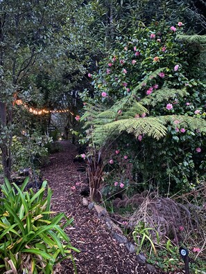 Un jardín con una variedad de plantas, incluyendo helechos y arbustos florecientes, y un sendero cubierto de mantillo.
