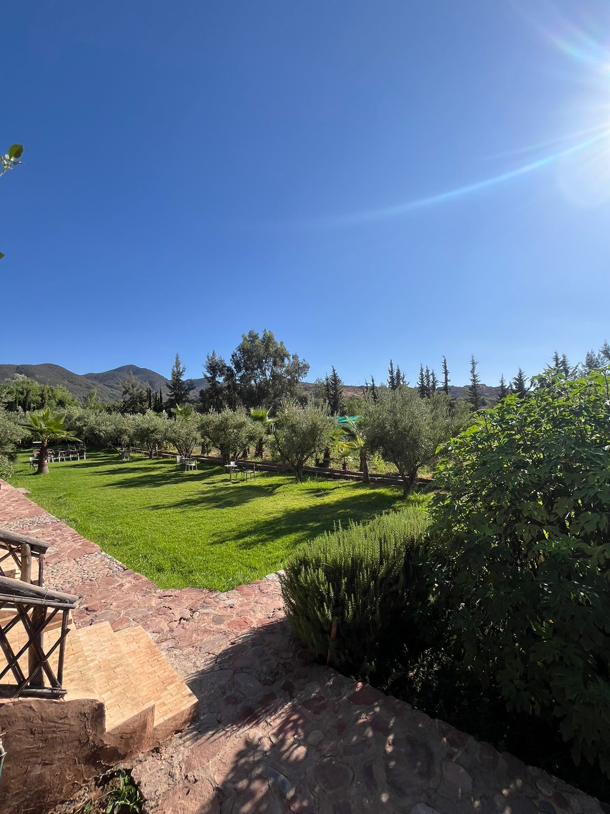 Un jardín con un muro de piedra, una mesa de madera y un cielo azul despejado.