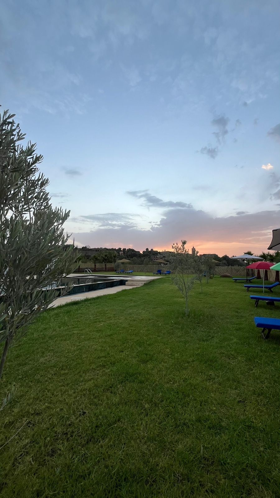 Zona verde con piscina, sillas de descanso azules y un pequeño árbol.
