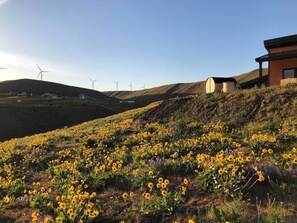 Eine Landschaft mit einem Gebäude und Windkraftanlagen im Hintergrund.