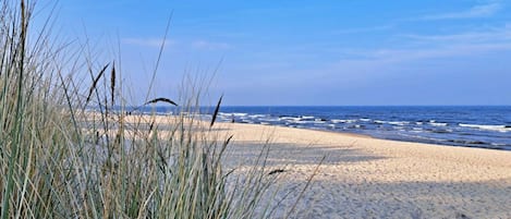 A beach with sand dunes and grass in the foreground, leading to the ocean.