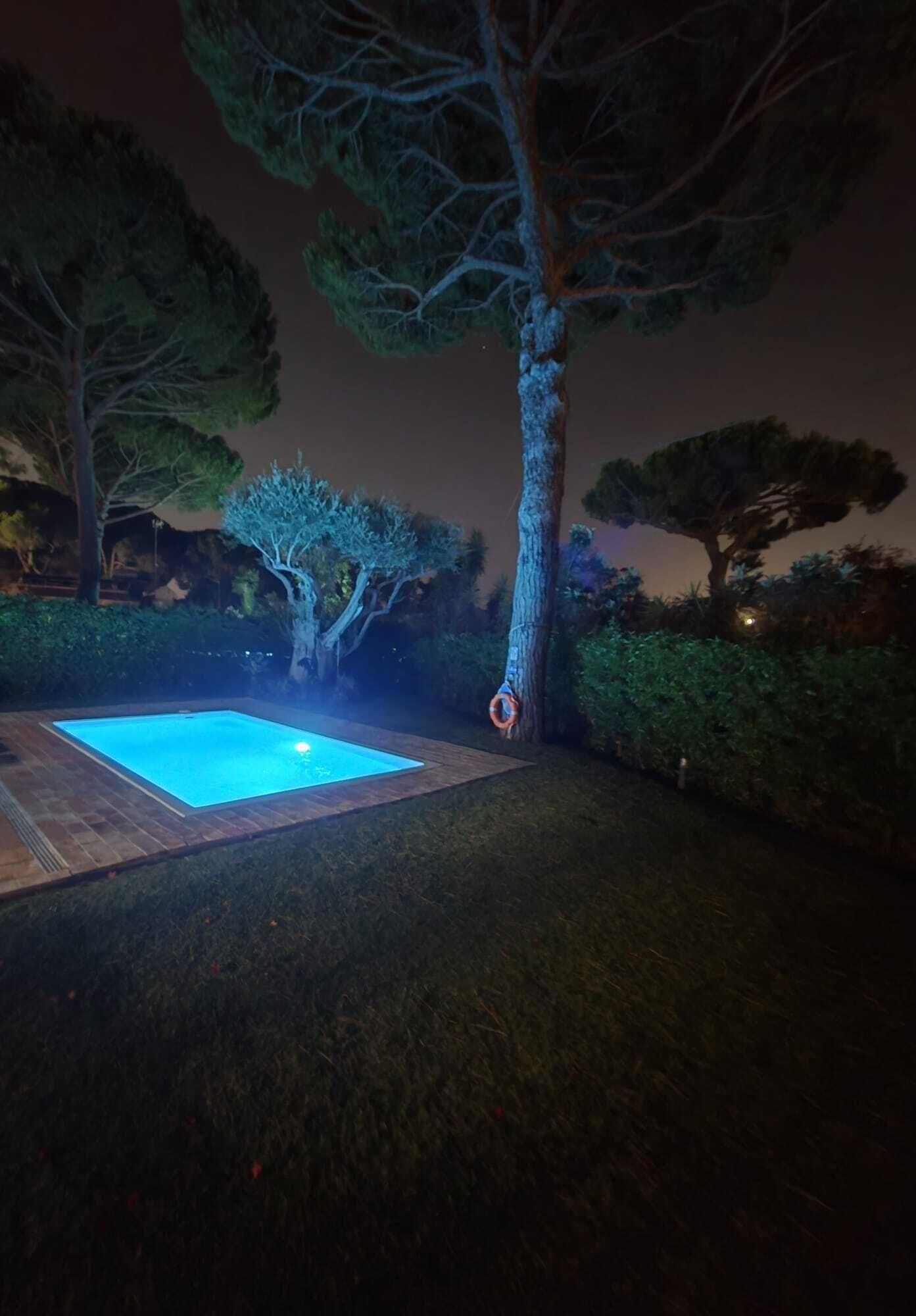A swimming pool with a tiled deck, surrounded by trees and a hedge.