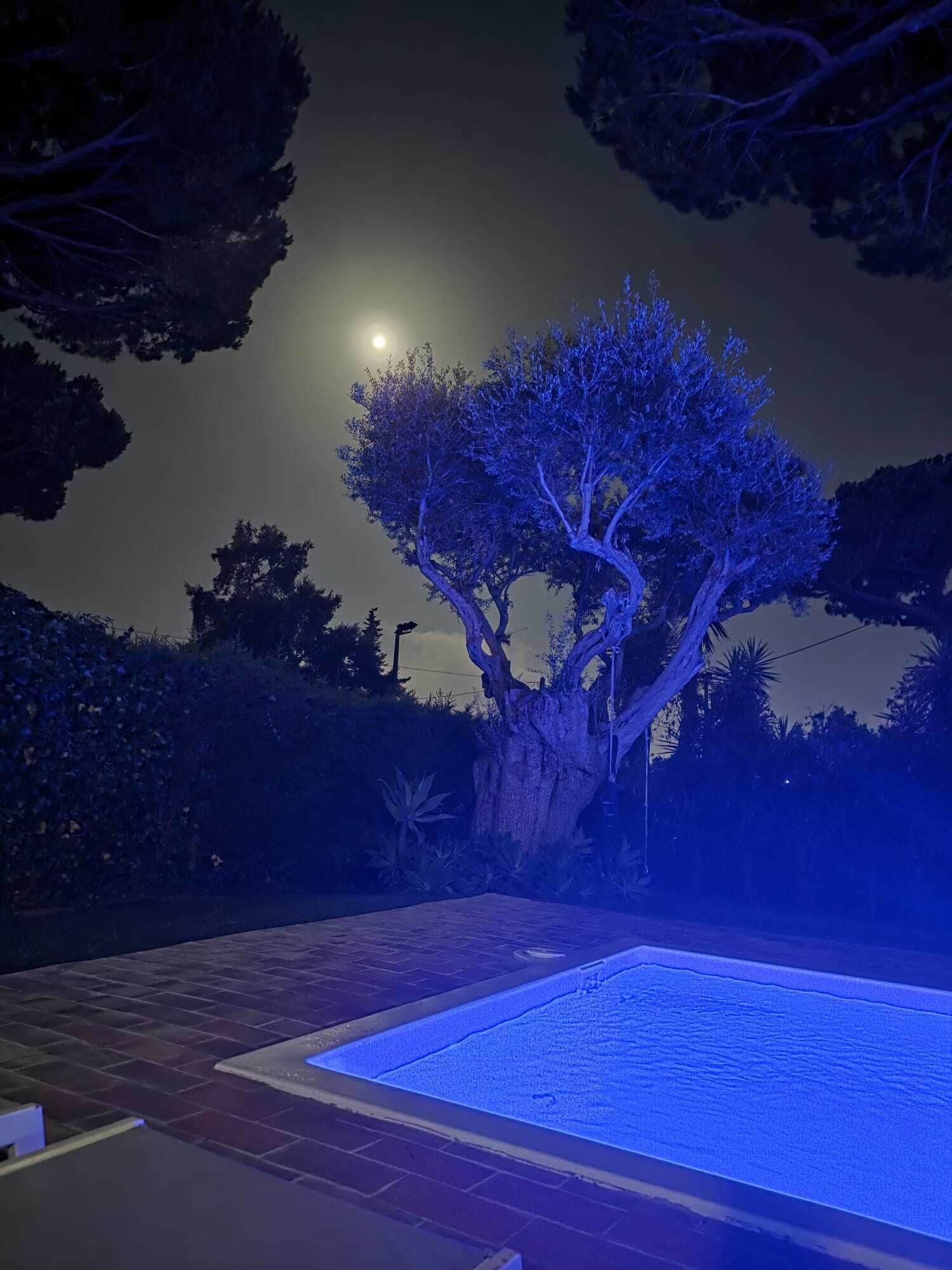 Eine nächtliche Szene mit einem Pool, einem von blauem Licht beleuchteten Baum und einem Vollmond am Himmel.